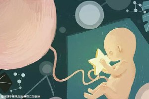 生殖妇科